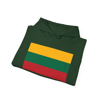 Lithuania Flag Hoodies