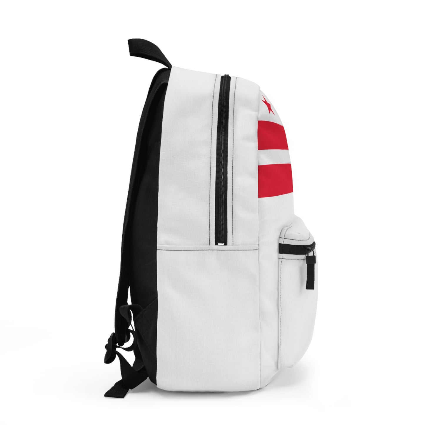 District of Columbia Backpack