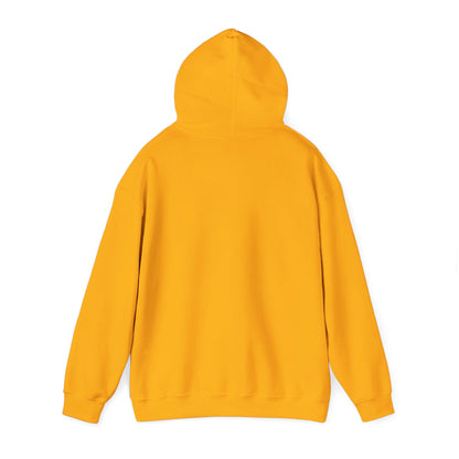 Vatican City Flag Hoodies
