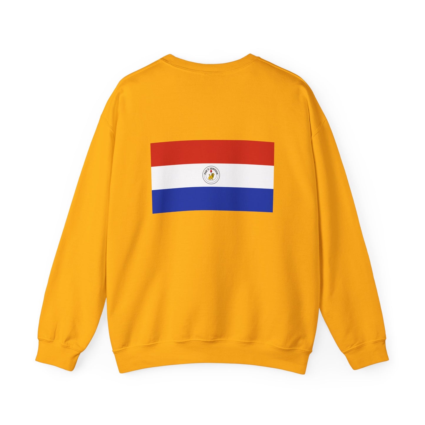 Paraguay Flag Sweatshirt