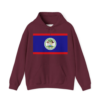 Belize Flag on Hoodie