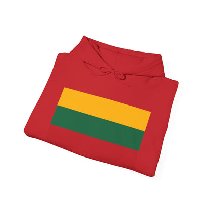 Lithuania Flag on Hoodies