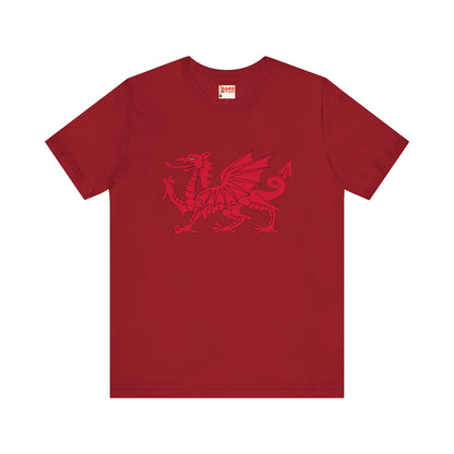 Welsh Dragon T-shirt