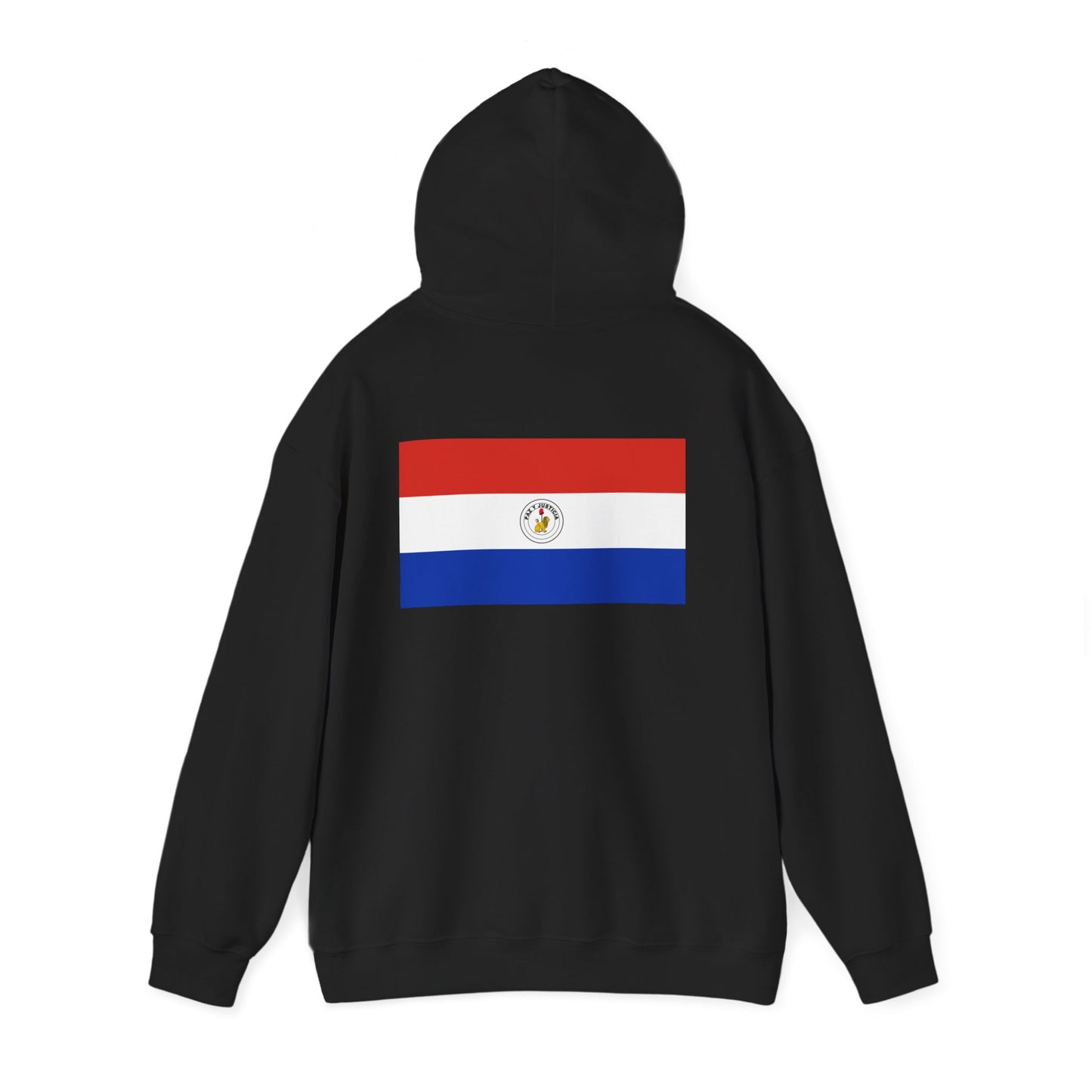 Paraguay Hoodies