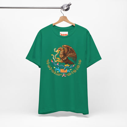 Mexico Inspired T-shirt