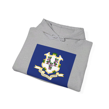 Connecticut Flag Hoodies