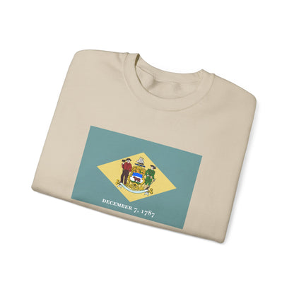 Delaware Flag Sweatshirt