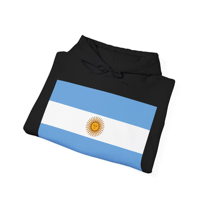 Argentina Flag on Hoodie