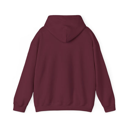 South Sudan Flag Hoodies