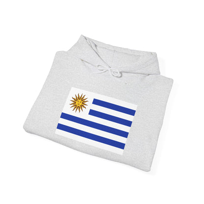 Uruguay Flag Hoodies