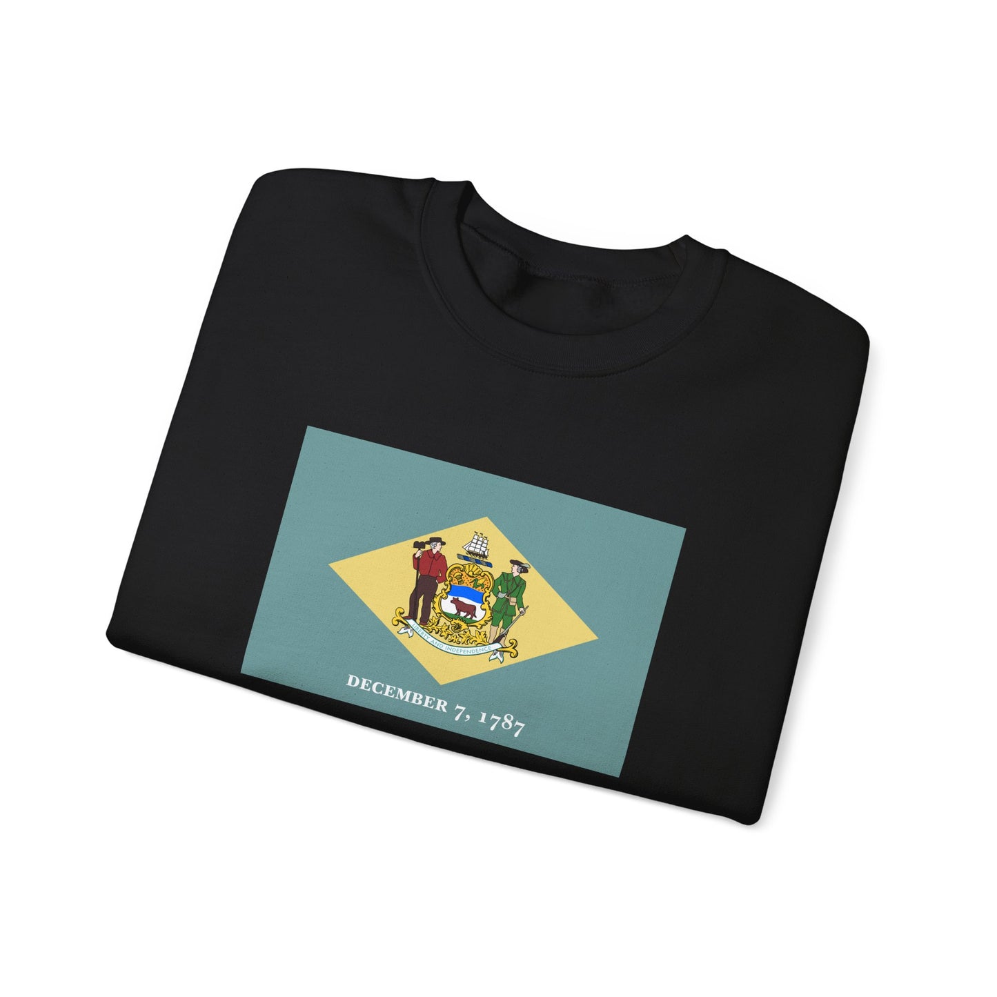 Delaware Flag Sweatshirt