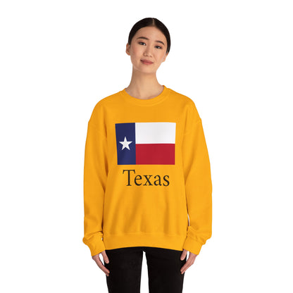 Texas Sweatshirt