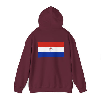 Paraguay Flag Hoodies