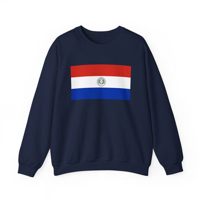 Paraguay Flag Sweatshirt