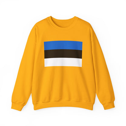 Estonia Flag Sweatshirt