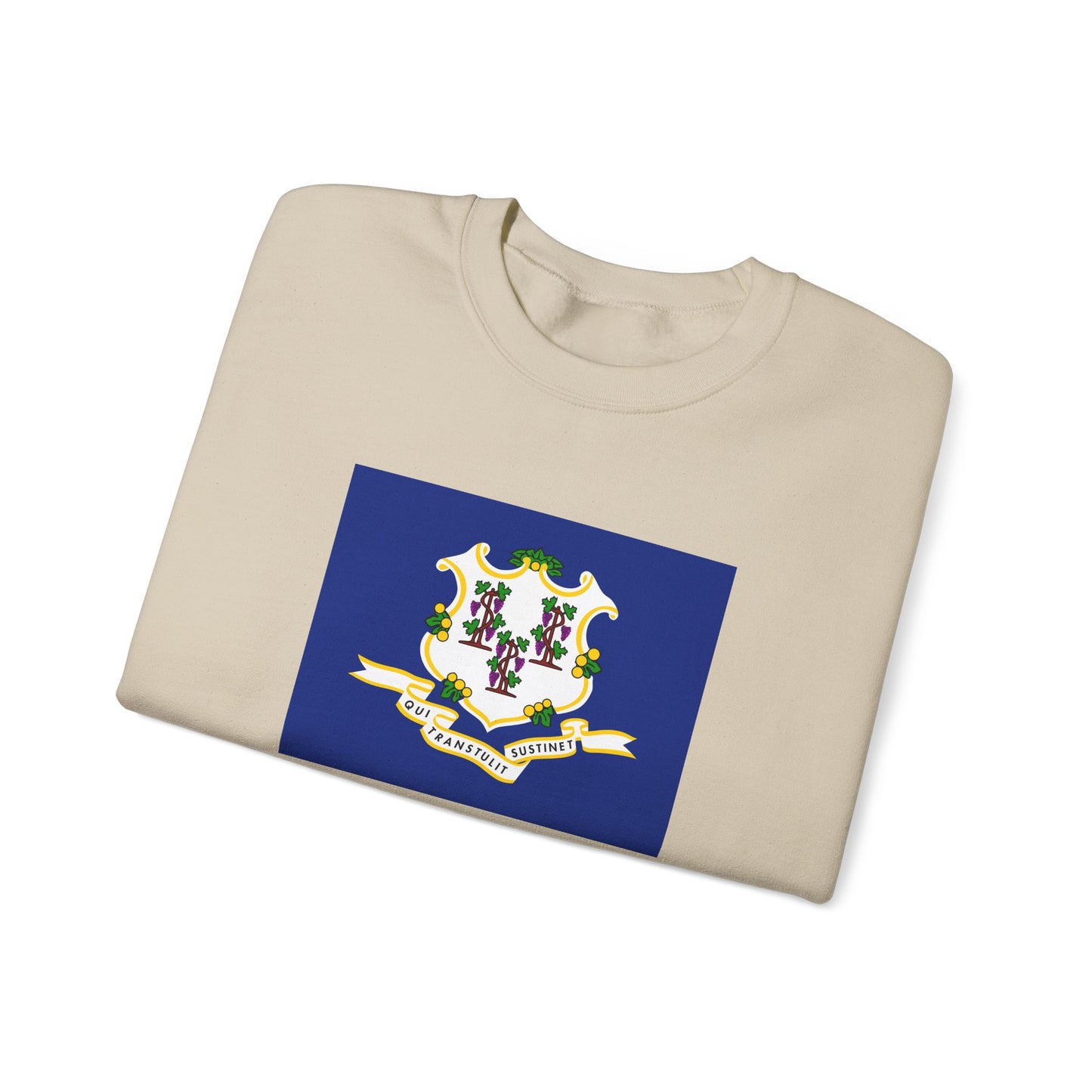 Connecticut Sweatshirt