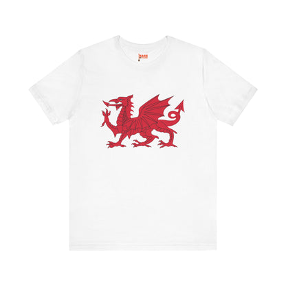 Welsh Dragon T-shirt