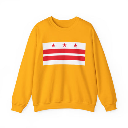 District of Columbia Flag Sweatshirt