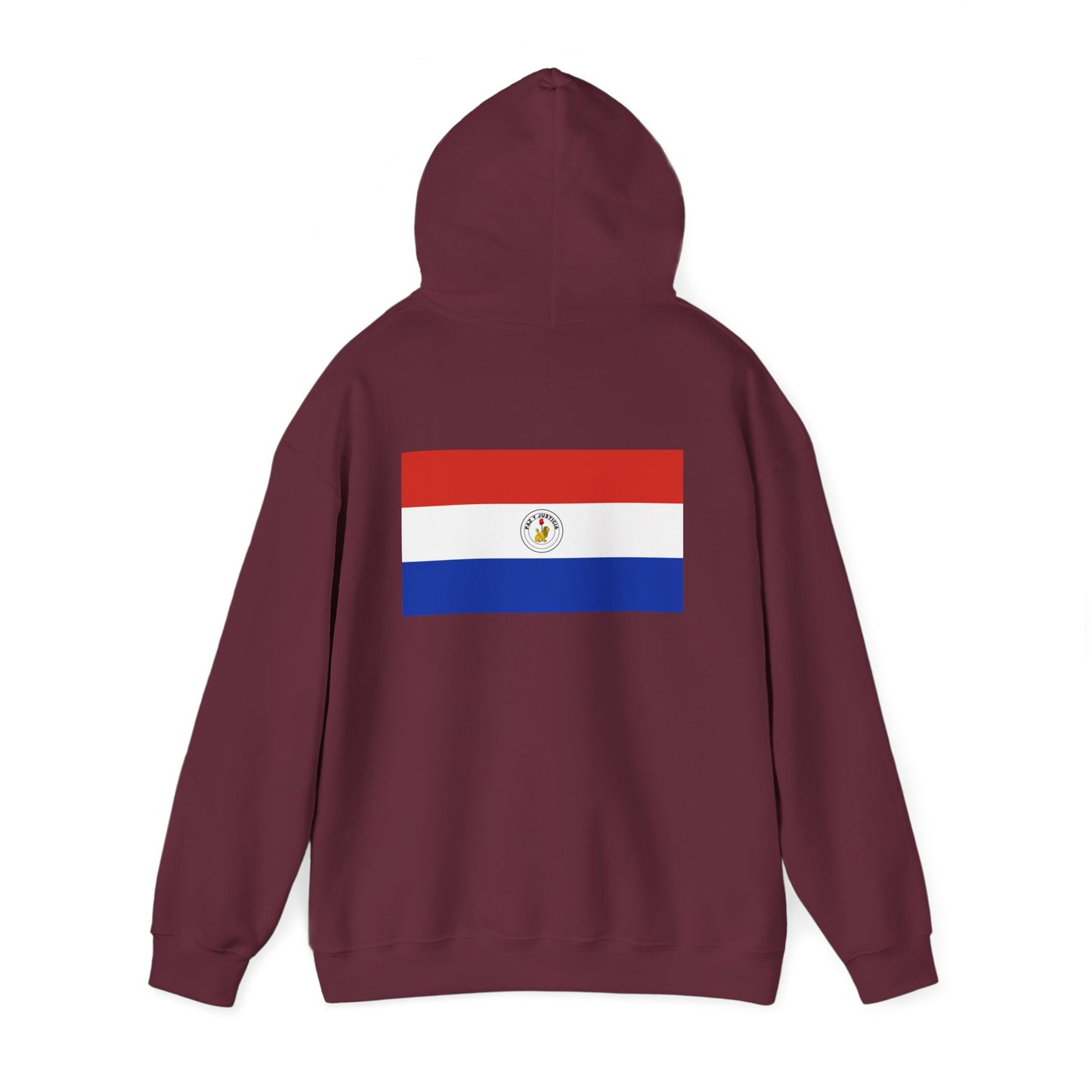 Paraguay Flag Hoodies