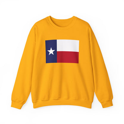 Texas Flag Sweatshirt
