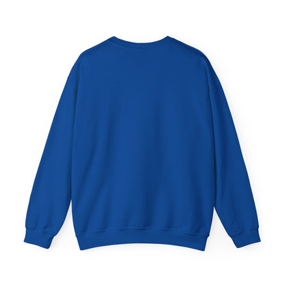Benin Flag Sweatshirt