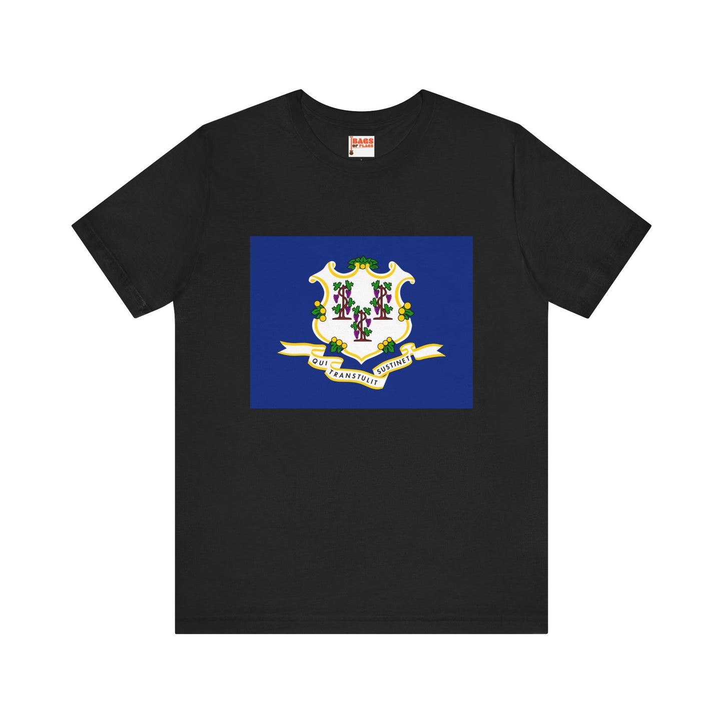 Connecticut Flag T-shirts