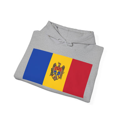 Moldova Flag on Hoodie