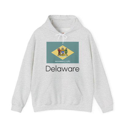 Delaware Hoodies