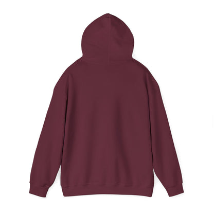 South Sudan Flag Hoodies