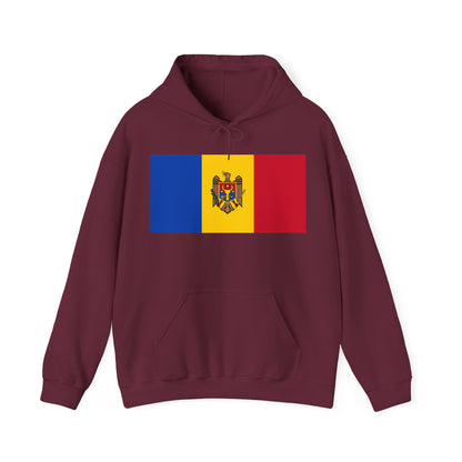 Moldova Flag on Hoodie