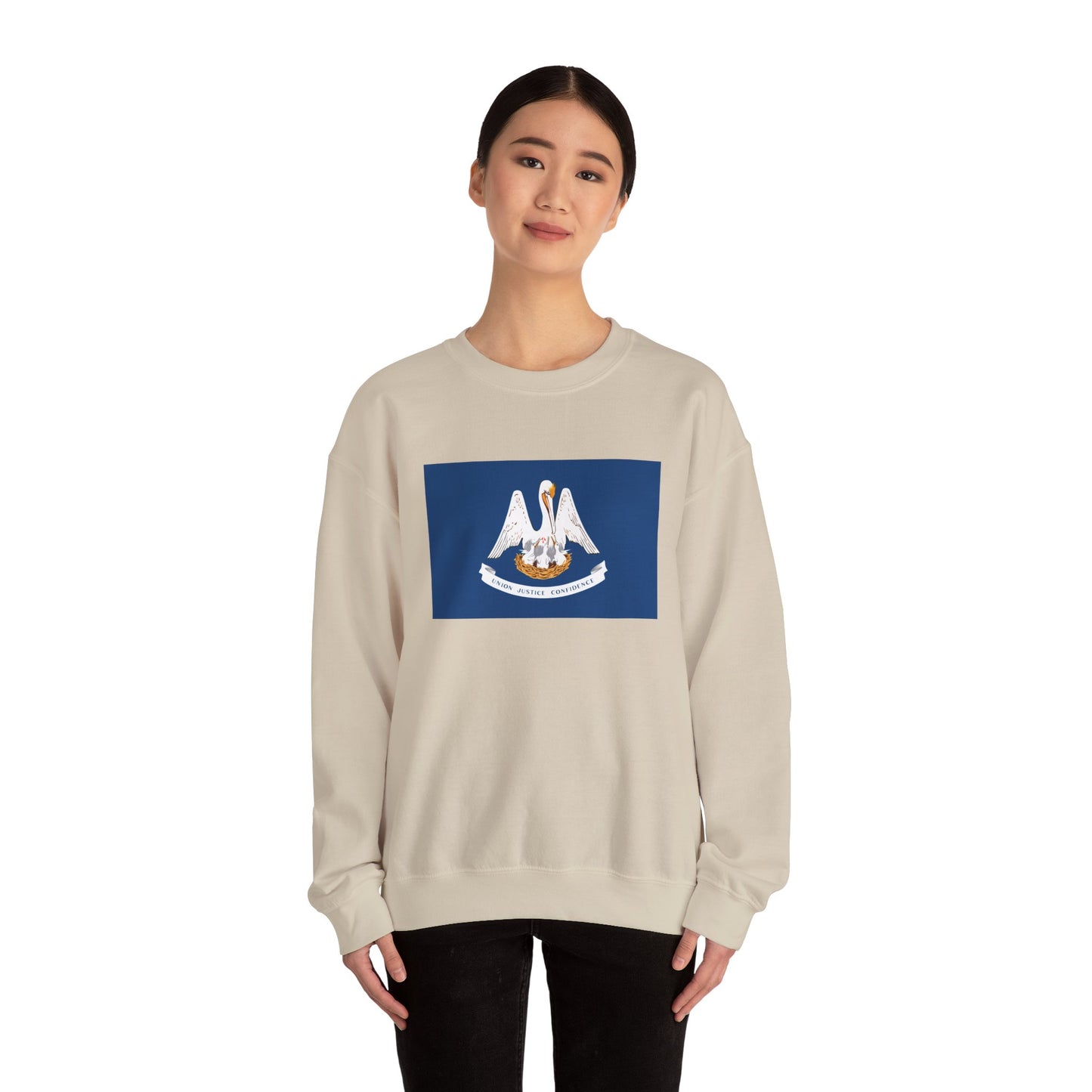 Louisiana Flag Sweatshirt