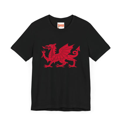 Welsh Dragon T-shirt