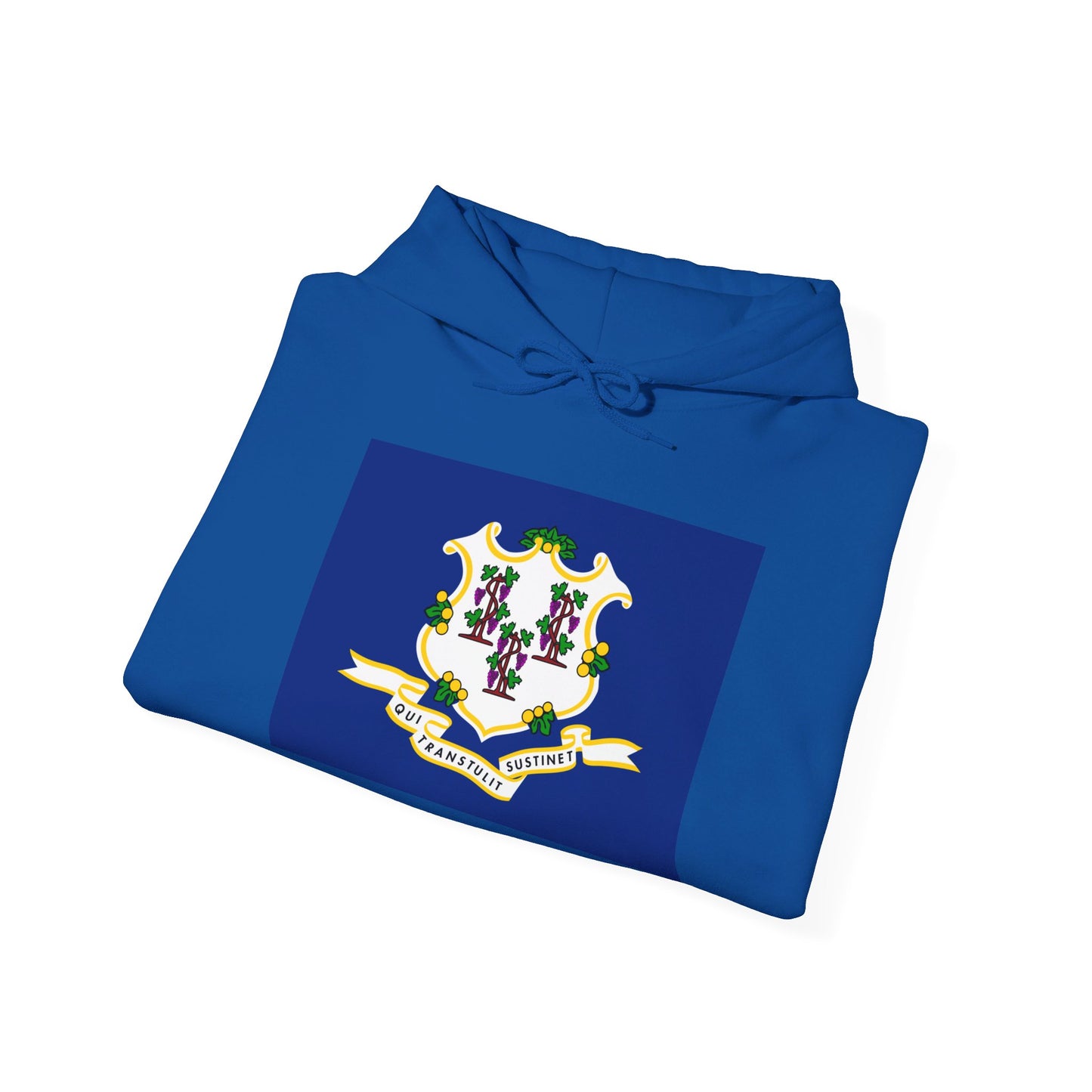 Connecticut Flag Hoodies