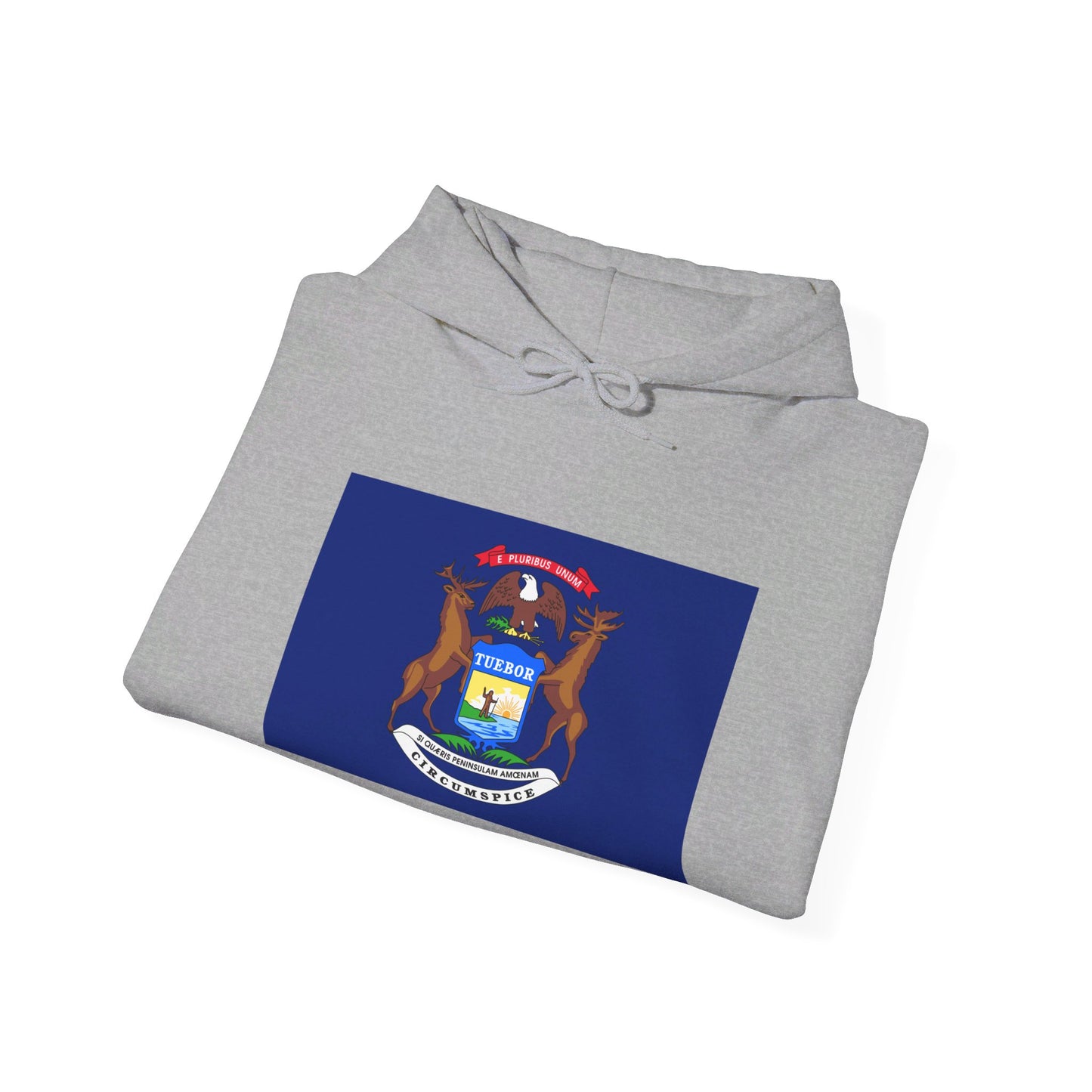 Michigan Flag Hoodies