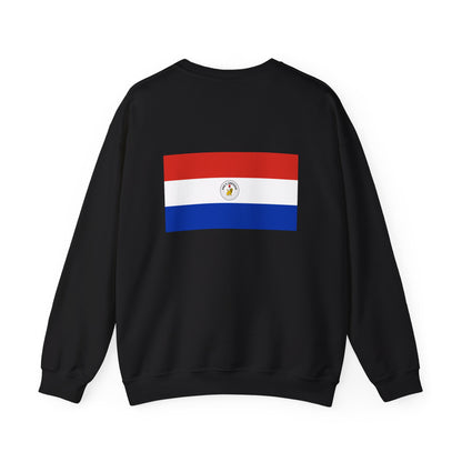 Paraguay Flag Sweatshirt