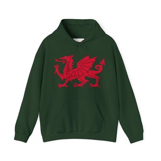 Welsh Dragon Hoodies