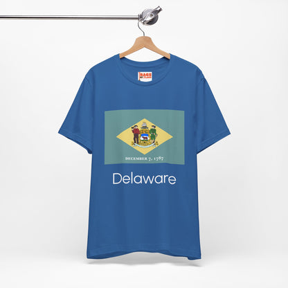 Delaware T-shirts