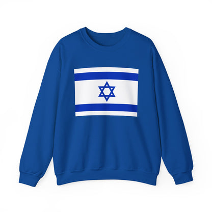 Israel Flag Sweatshirt