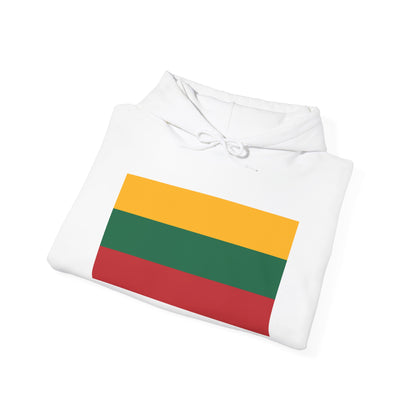 Lithuania Flag on Hoodies