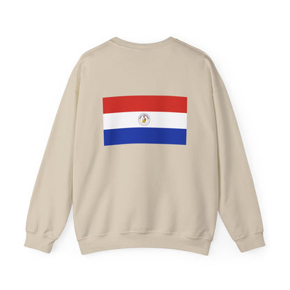 Paraguay Flag Sweatshirt