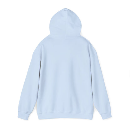 Argentina Flag on Hoodie