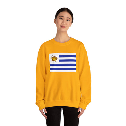 Uruguay Flag Sweatshirt
