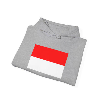 Indonesia Flag Hoodies