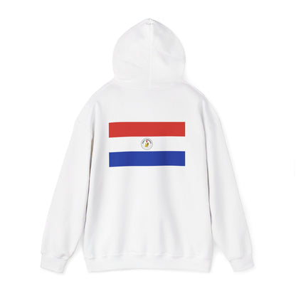 Paraguay Flag Hoodies