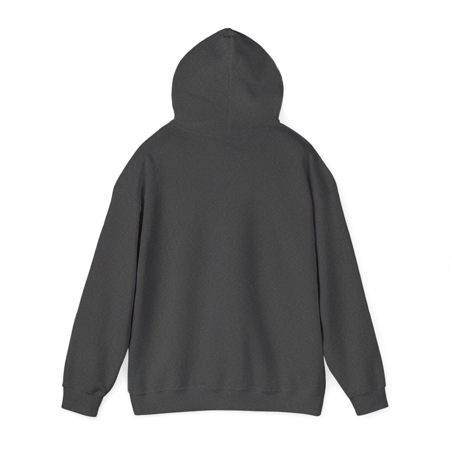 South Sudan Flag Hoodies