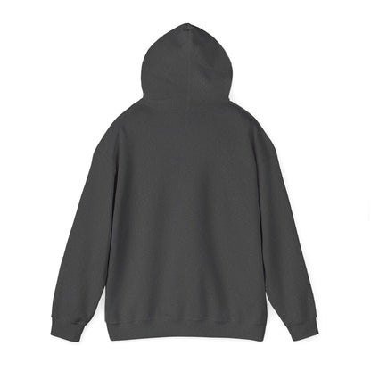 South Sudan Flag Hoodies