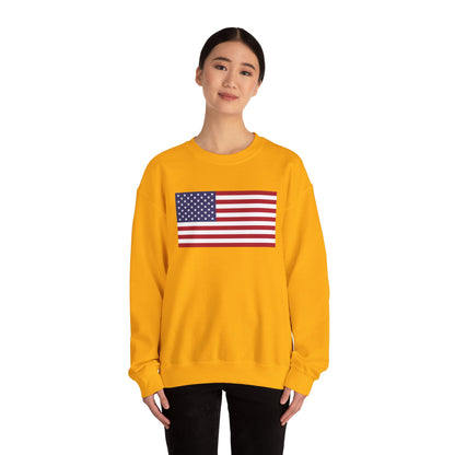 United States Flag Sweatshirt