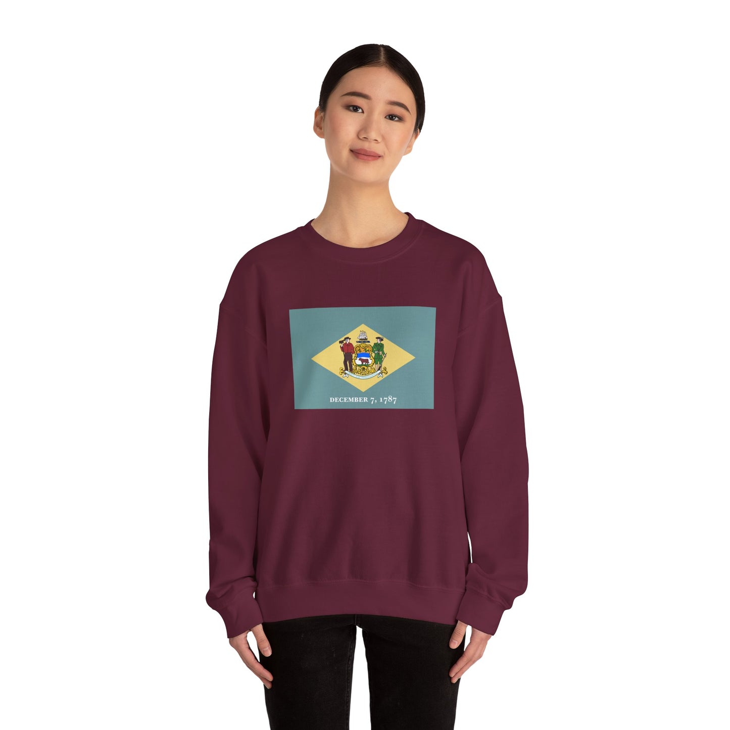 Delaware Flag Sweatshirt