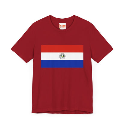 Paraguay Flag on T-shirt