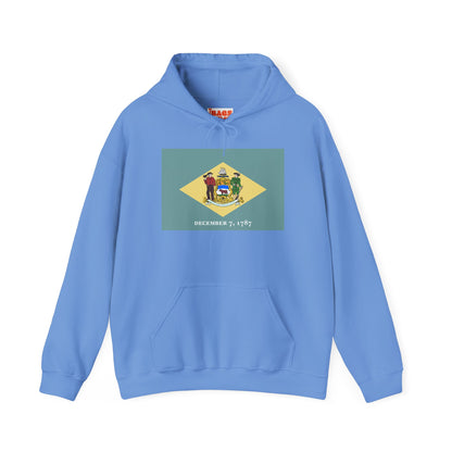 Delaware Flag Hoodies